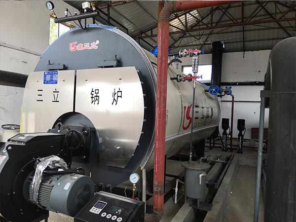 邯鄲廣平6T低氮蒸汽